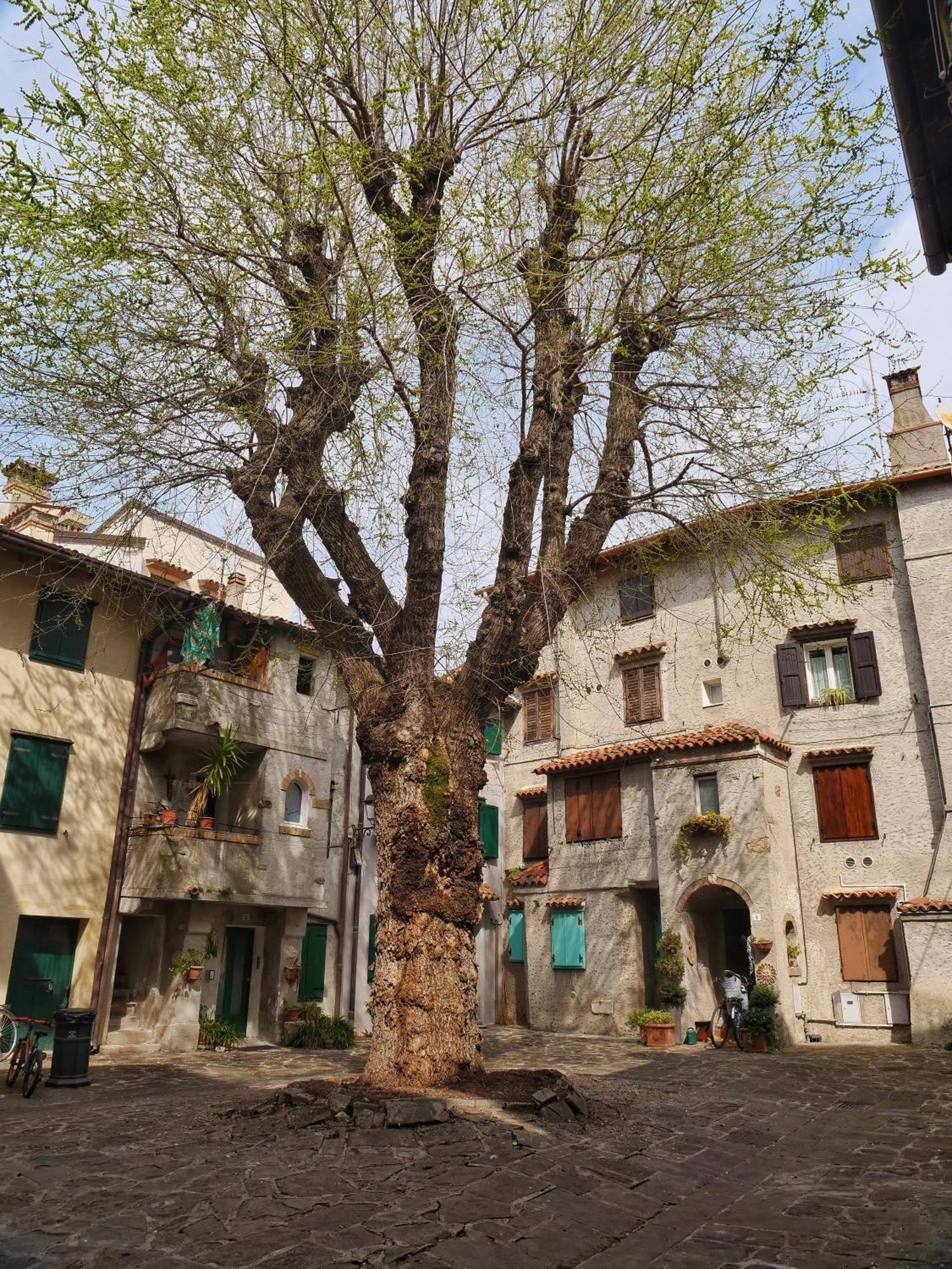 Casa Vianella - Romantico Monolocale Per Vivere Come Una Volta Grado Luaran gambar